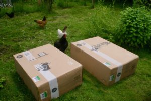 nos poulets viennent de suite inspecter les colis posés dans le jardin !
