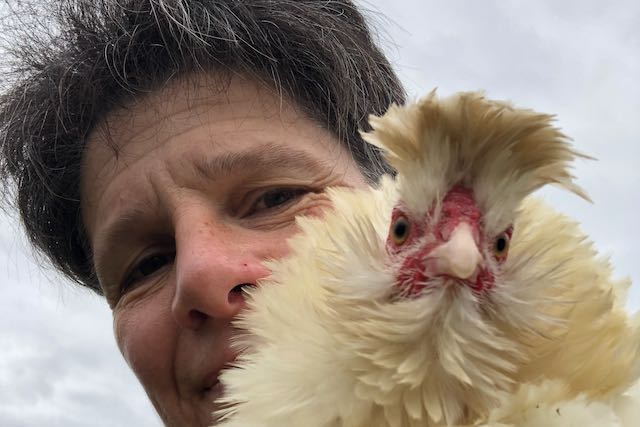 Selfie avec la poulette blanche frisée et huppée, Olymp'