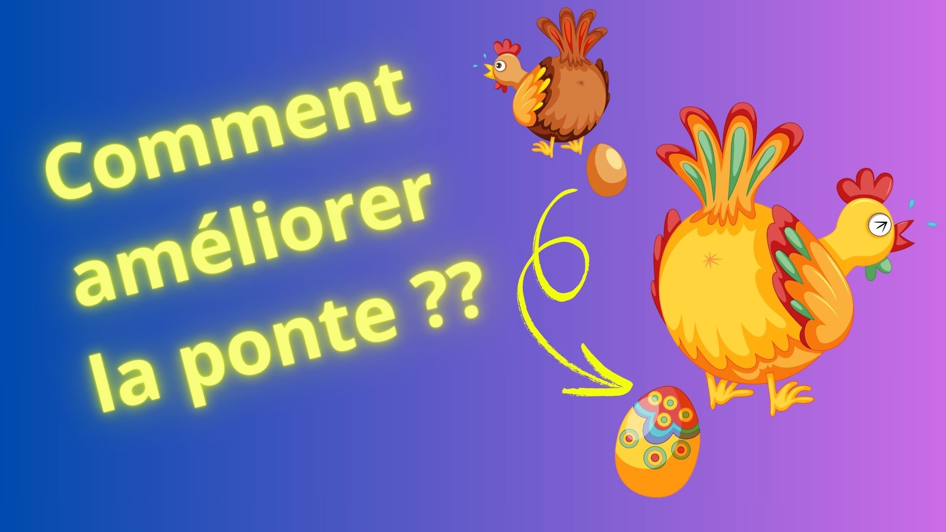 Comment améliorer la ponte, avec dessin de poules qui pondent un oeuf normal pour l'une et un oeuf coloré pour l'autre