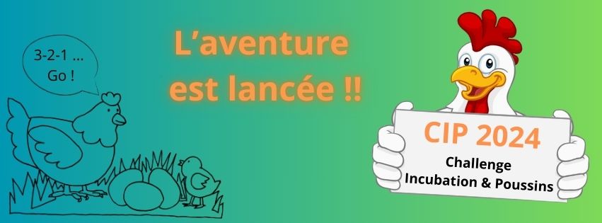 bannière du CIP (Challenge Incubation & Poussins), agrémentée de dessins de poules et coqs et du texte "l'aventure est lancée !"