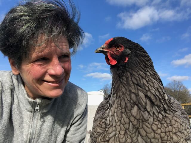 Gaëlle DOBIGNARD et Pepsy (poule grise) en grande conversation à propos de la durée de couvaison des oeufs.