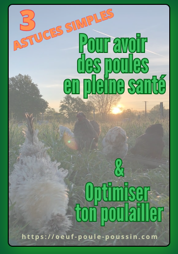 la couverture de l'ebook offert : 3 astuces simples pour avoir des poules en pleine santé et optimiser son poulailler