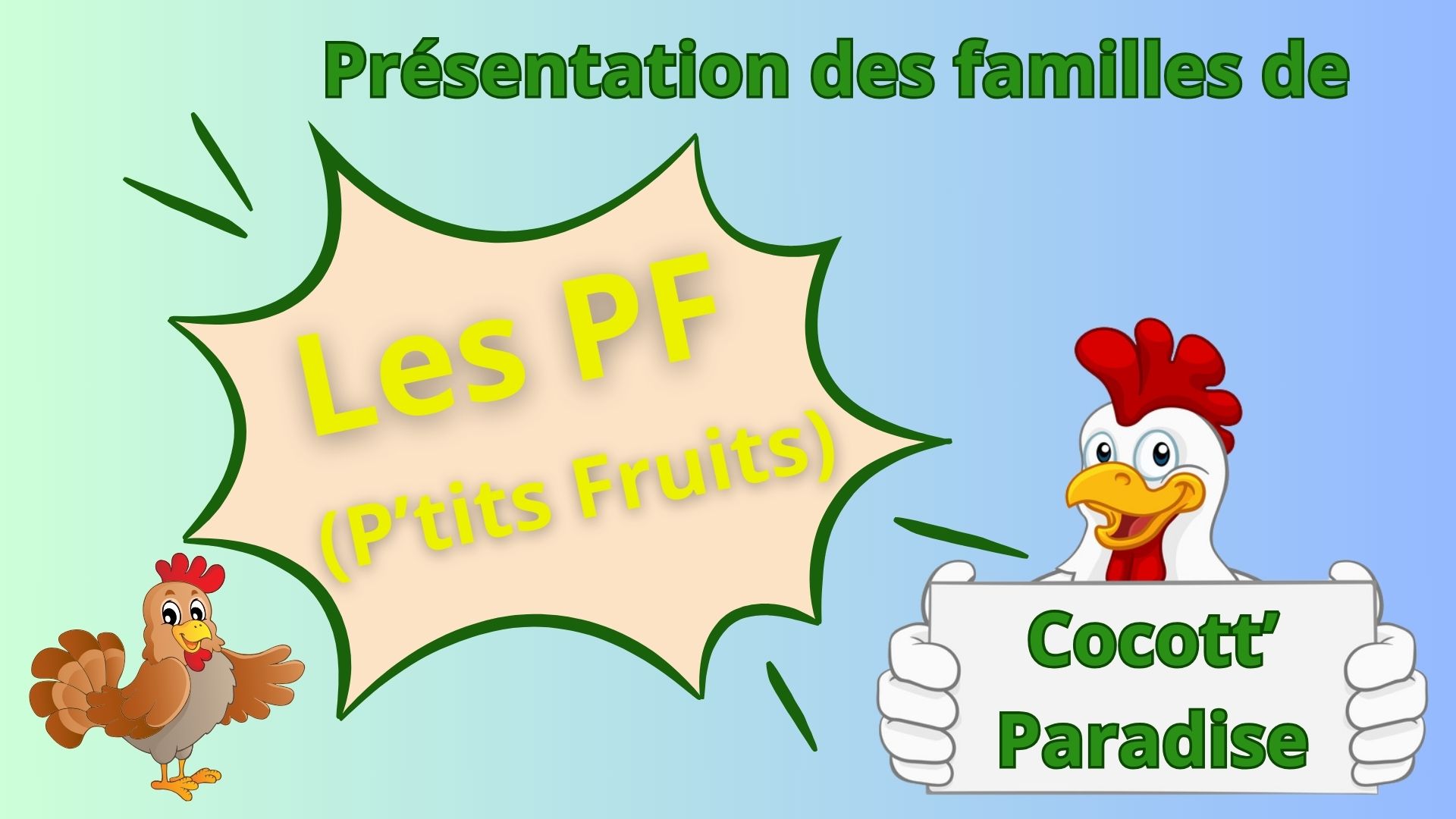 Présentation des familles de Cocott'Paradise, pour la vente d'oeufs fécondés. "Les P'tits Fruits"