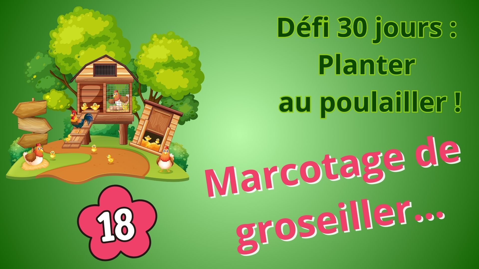 affichette du jour 18 du défi planter au poulailler, avec le marcottage de groseiller