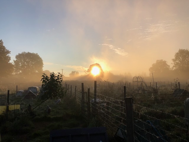 Cocott'Paradise au lever du soleil, dans la brume matinale.