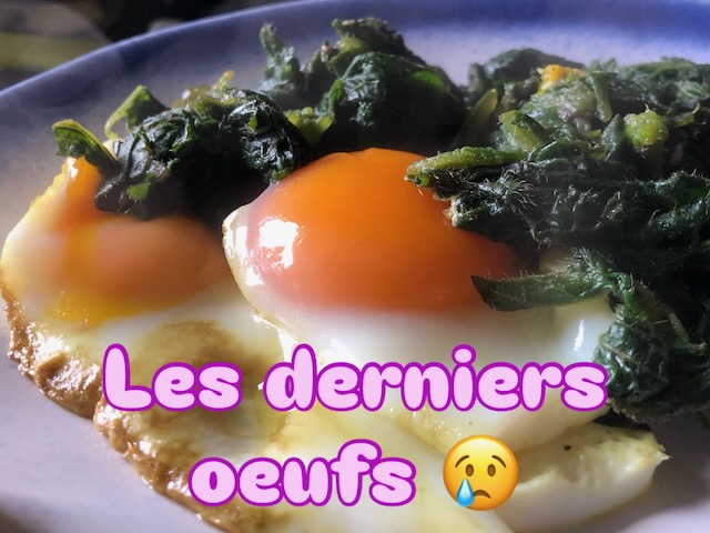 Les derniers oeufs de mes poules, cuits au plat avec de la bourrache. Beaucoup d'émotions